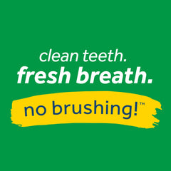 Tropiclean Fresh Breath Clean Teeth Gel for Dogs - Mint - 118 ml