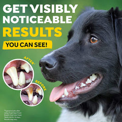 Tropiclean Fresh Breath Clean Teeth Gel for Dogs - Mint - 118 ml