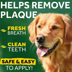 Tropiclean Fresh Breath Clean Teeth Gel for Dogs - Mint - 118 ml